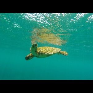 Meet your Posher, Keith